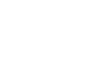 Puma 1